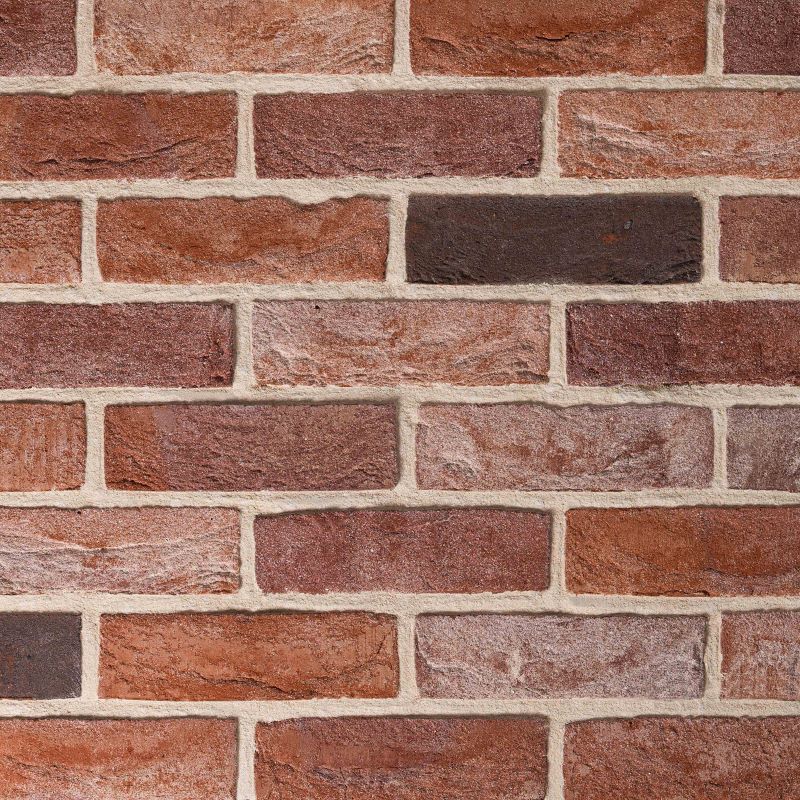 TBS Old Fulford Blend Facing Brick 65mm